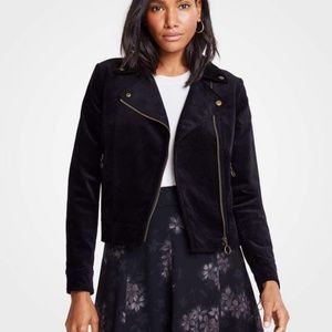 Ann Taylor Velvet Moto Jacket (black)